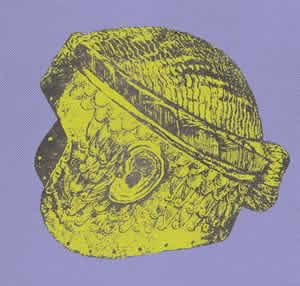 Helmet